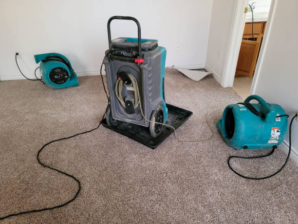 Best 24/7 water damage repair  in Oviedo, FL