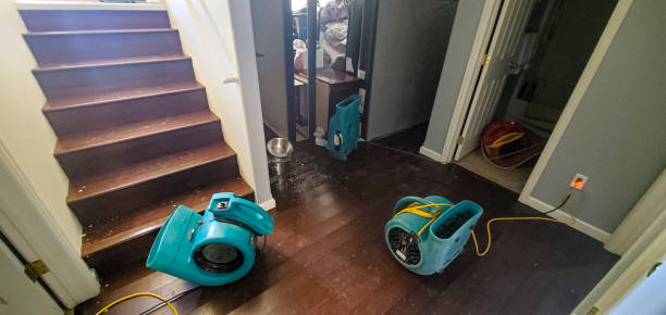 Best Flood restoration services  in Oviedo, FL