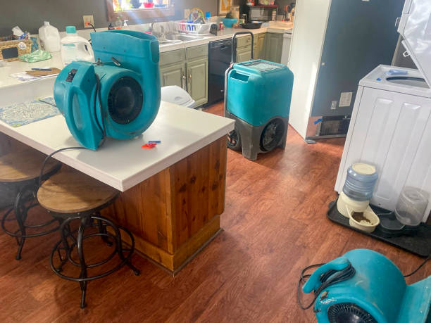 Best Ceiling water damage repair  in Oviedo, FL