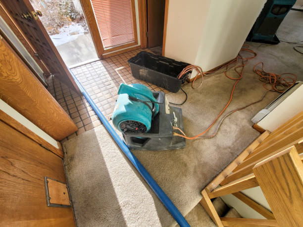  Oviedo, FL Water damage restoration Pros