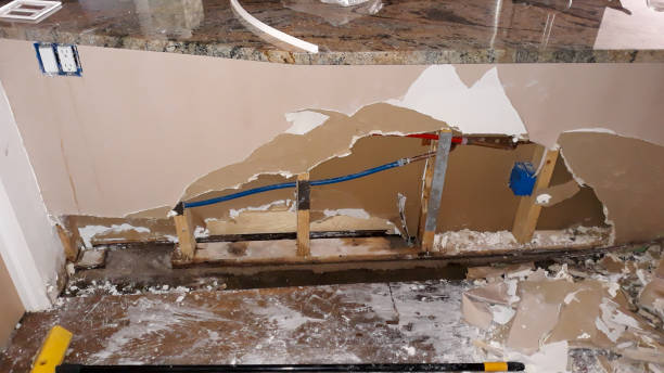 Best Professional water damage repair  in Oviedo, FL