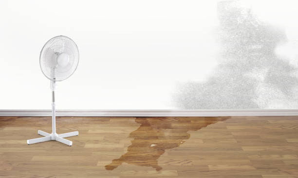 Best Water damage restoration company  in Oviedo, FL