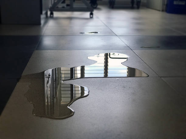 Best Water damage contractors near me  in Oviedo, FL