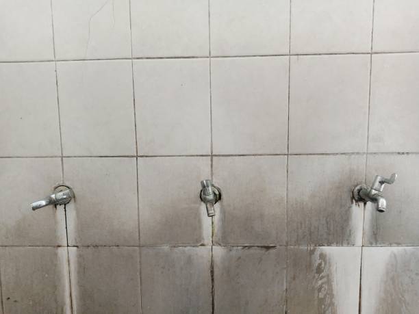Professional Water damage restoration in FL