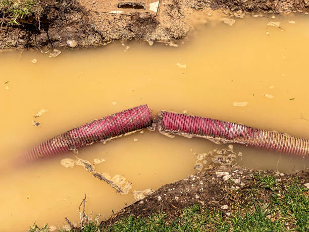 Best Water damage restoration process  in Oviedo, FL