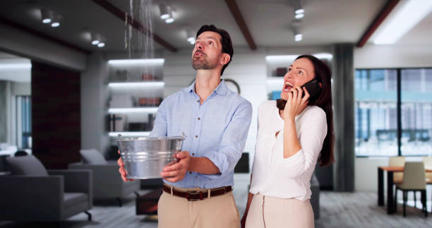 Best 24/7 water damage repair  in Oviedo, FL
